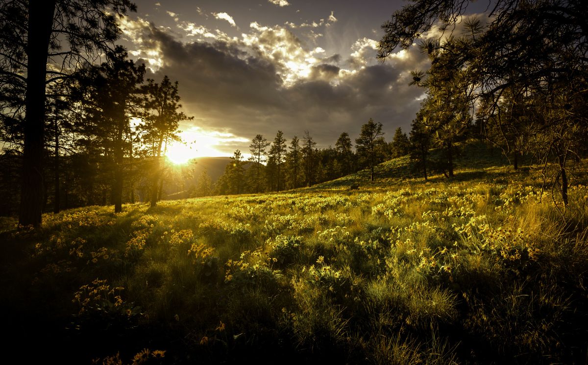 Las Duchów – Kanada