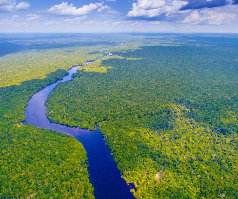 Amazonia – Czy wiesz, że lasy Amazonii są większe niż cała Europa